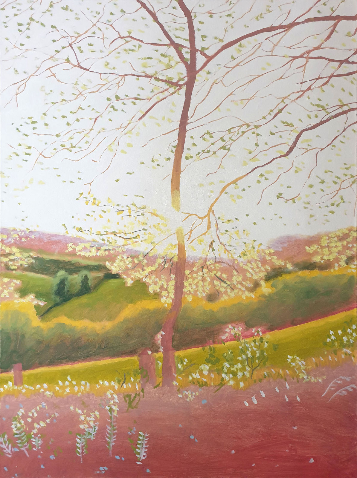Kit Glaisyer, Young tree on Lewesdon Hill no2, 2022-23