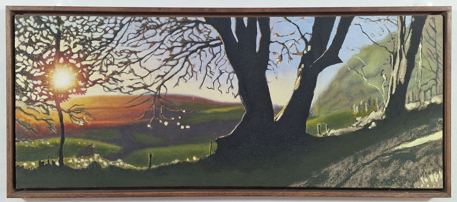 Kit Glaisyer, Lewesdon Hill Split Tree