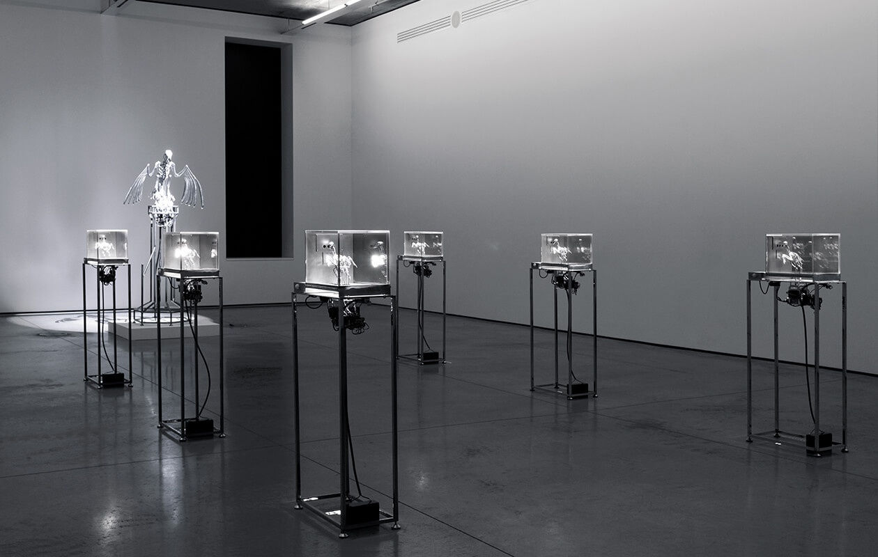 Mat Collishaw, The Machine Zone, 2019