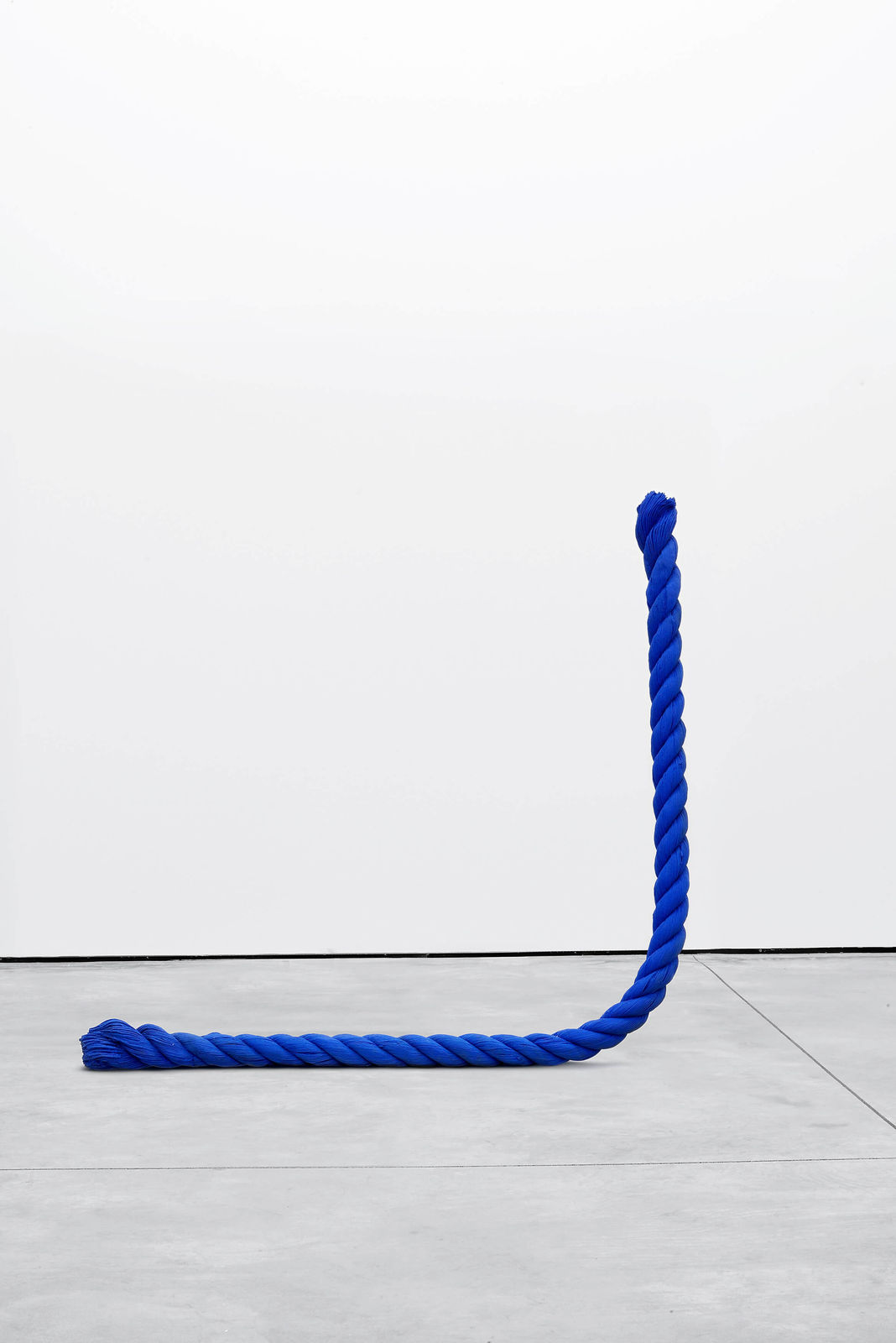 Tony Matelli, Rope, 2014