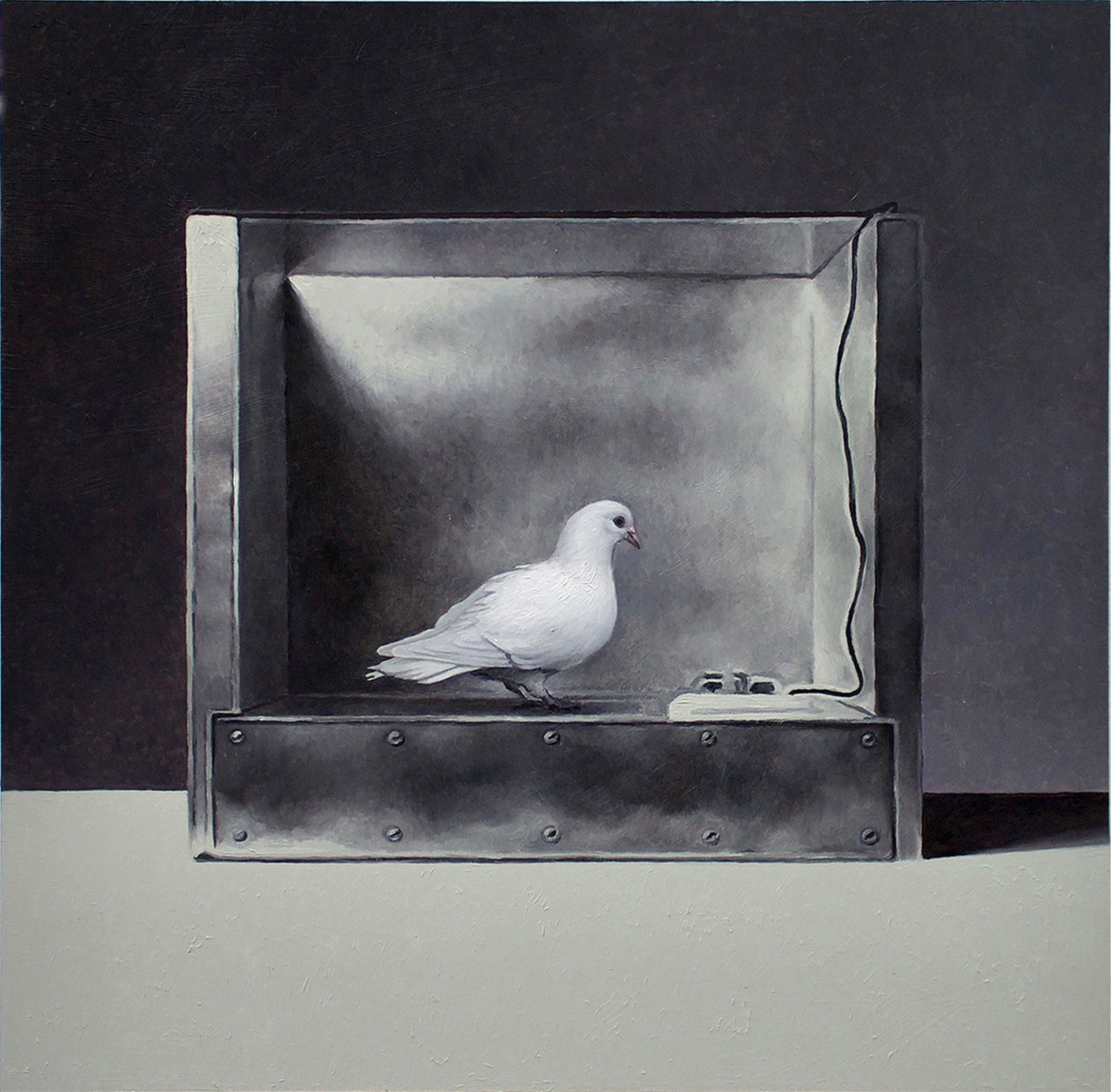 Mat Collishaw, Operant Conditioning Chamber #1, 2022