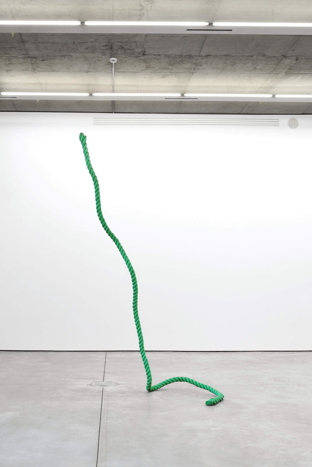 Tony Matelli, Rope, 2014