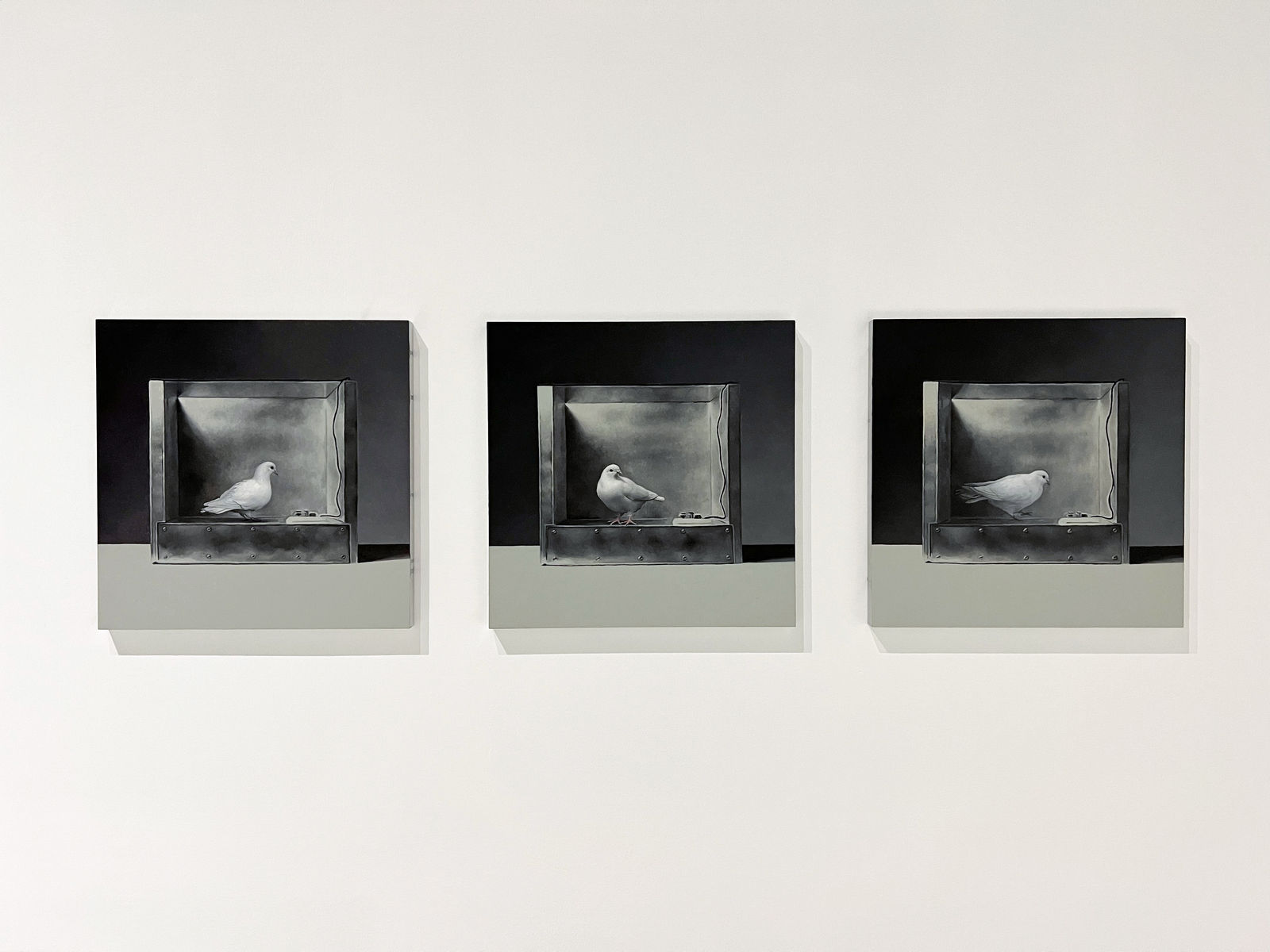 Mat Collishaw, Operant Conditioning Chamber #1, 2022