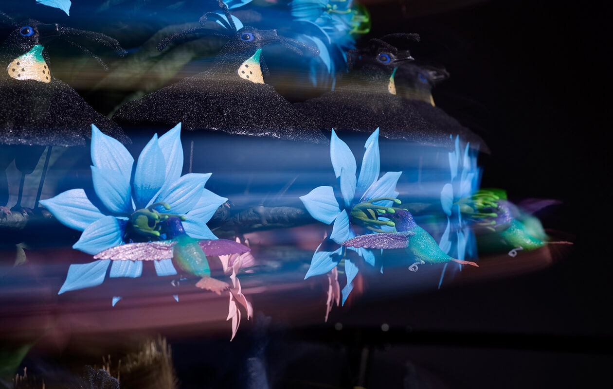 Mat Collishaw, The Centrifugal Soul, 2016