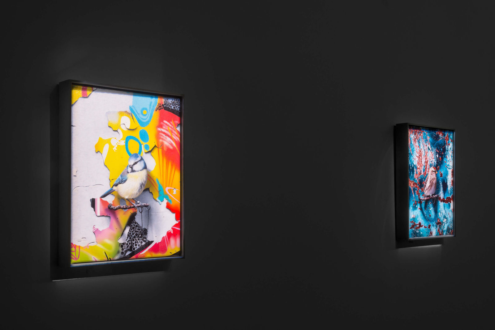 Mat Collishaw, GASCONADES (Cristal), 2017