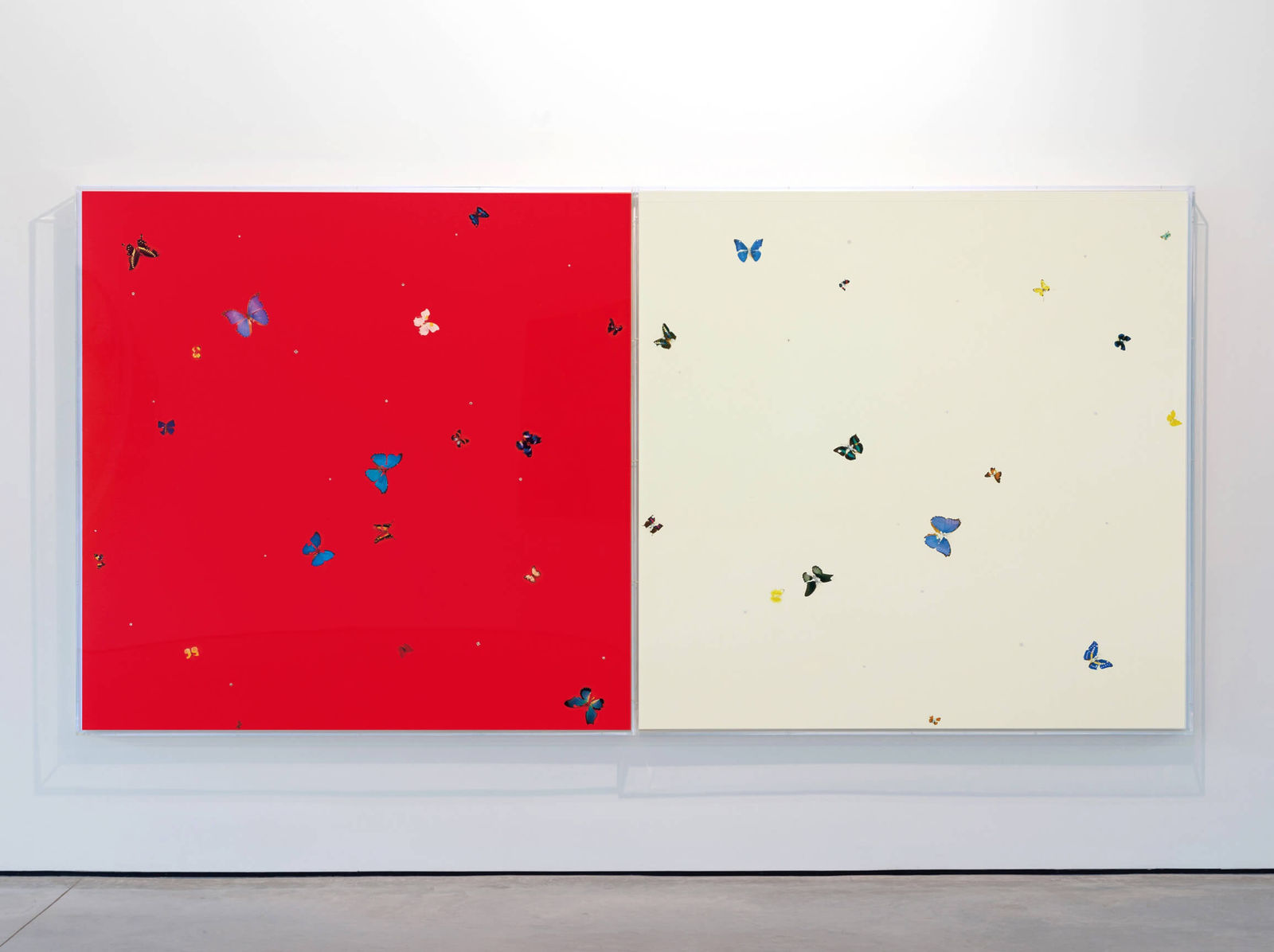 Damien Hirst, Strawberries and cream, 2008
