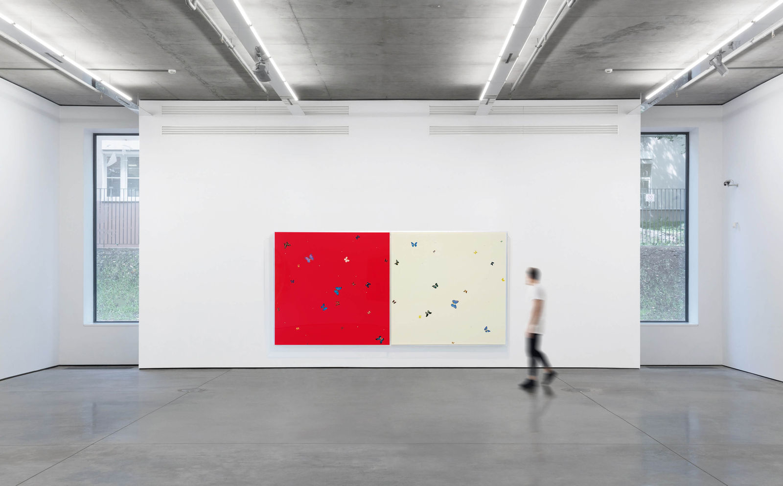 Damien Hirst, Strawberries and cream, 2008