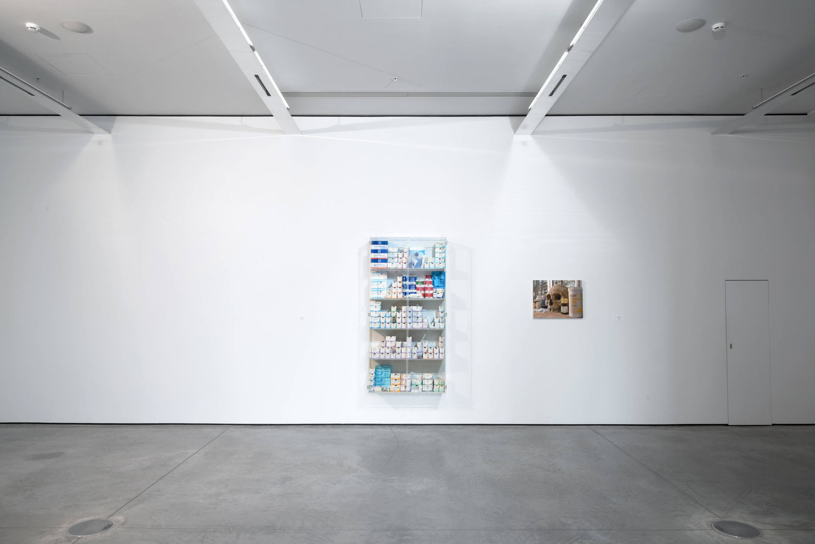 Damien Hirst, Skull with pills, 2008