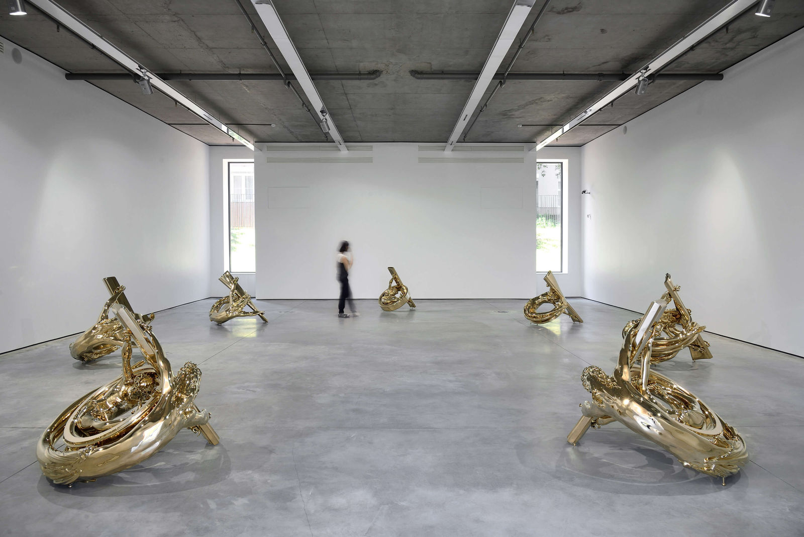 Wim Delvoye, Ring Corpus Outside, 2012