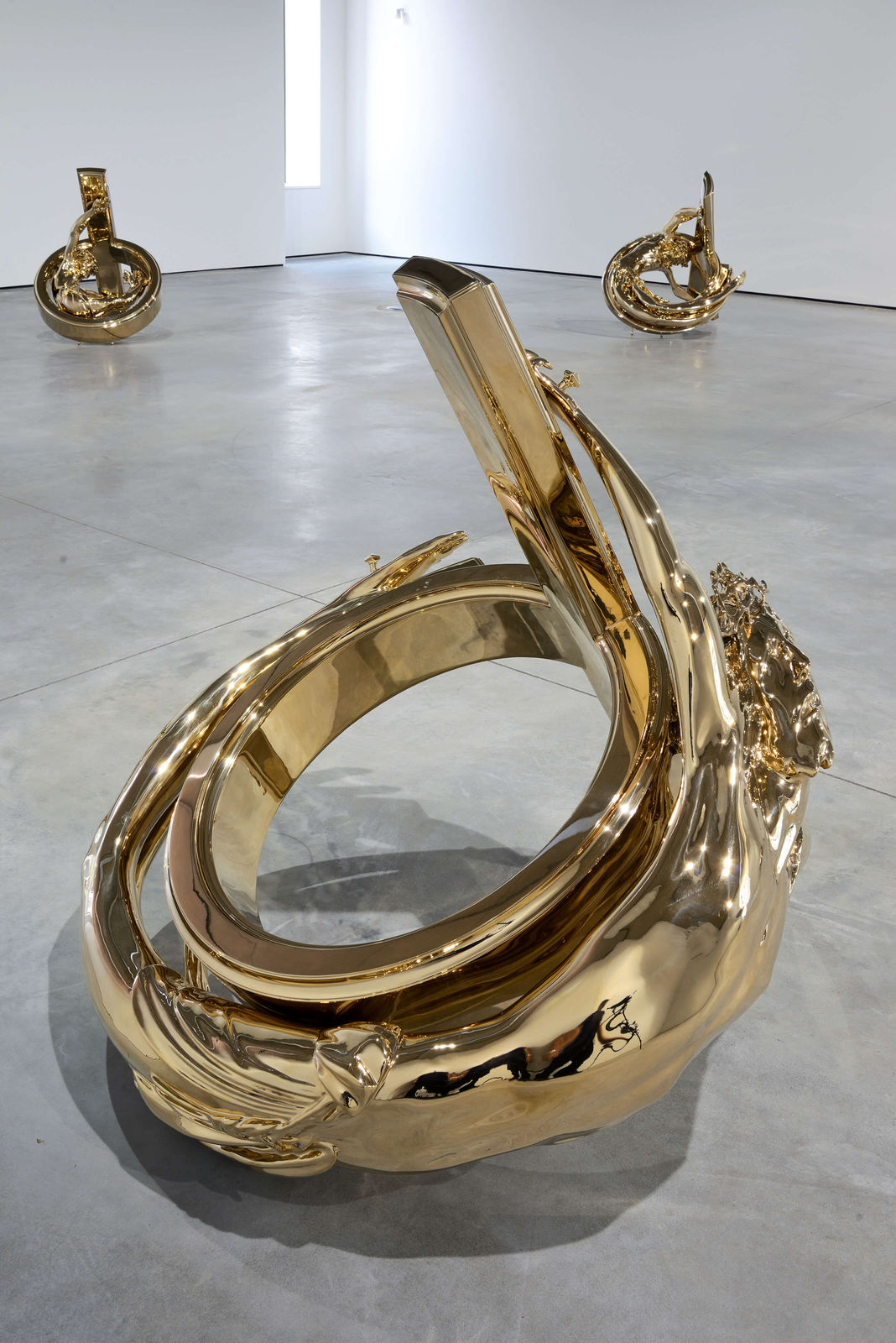 Wim Delvoye, Ring Corpus Outside, 2012