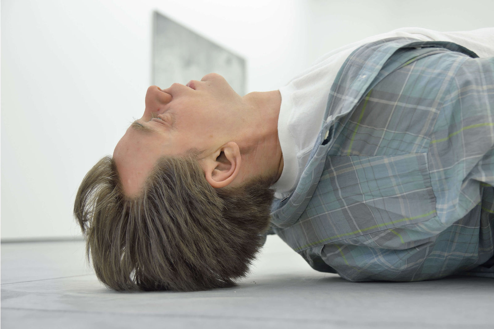 Tony Matelli, Josh, 2010