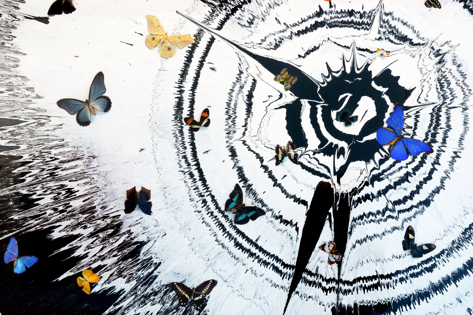 Damien Hirst, Beautiful love kids co twenty-five to ten painting with beautiful butterflies, 2008