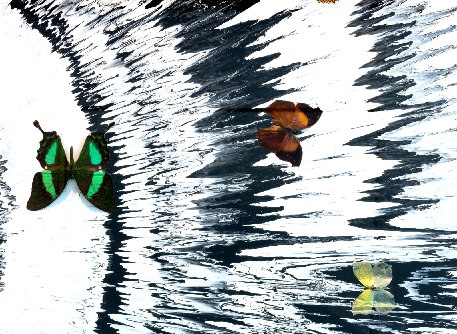 Damien Hirst, Beautiful love kids co twenty-five to ten painting with beautiful butterflies, 2008