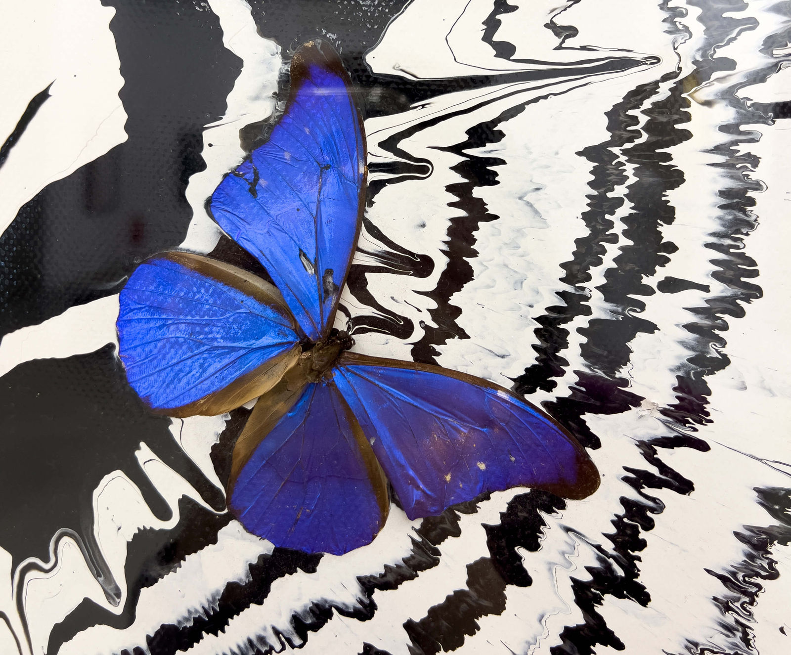 Damien Hirst, Beautiful love kids co twenty-five to ten painting with beautiful butterflies, 2008