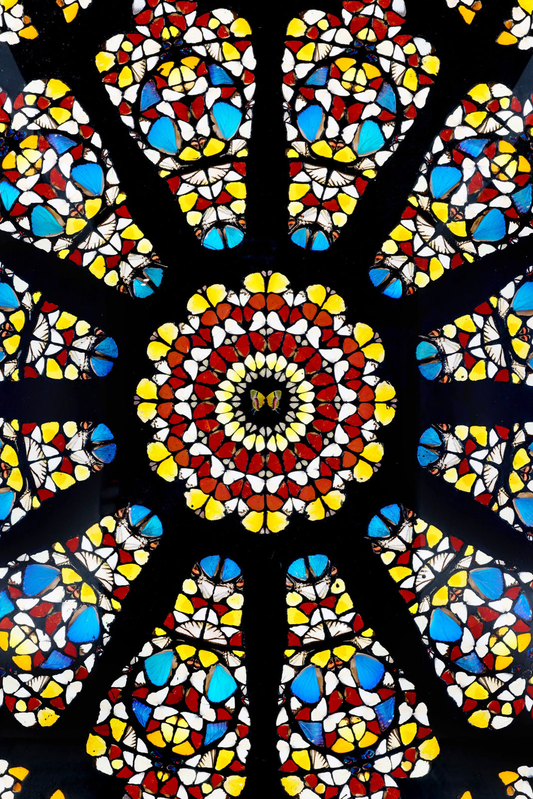 Damien Hirst, The Rose Window, Durham Cathedral, 2008