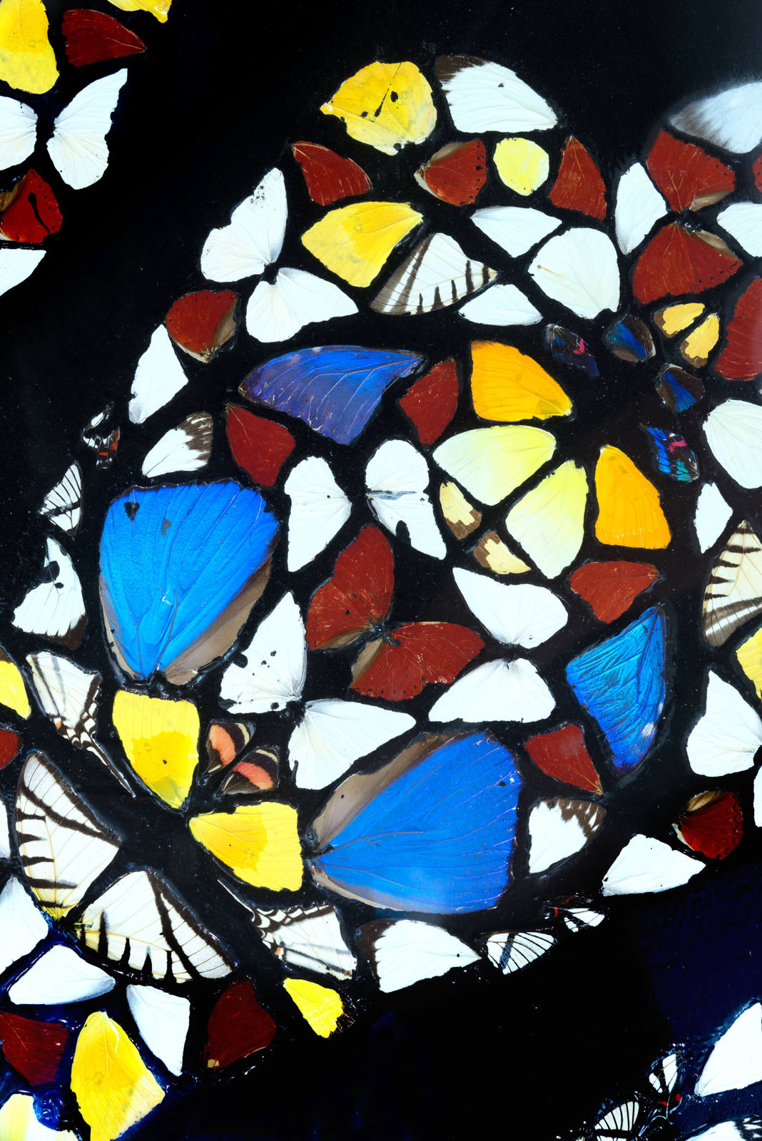 Damien Hirst, The Rose Window, Durham Cathedral, 2008