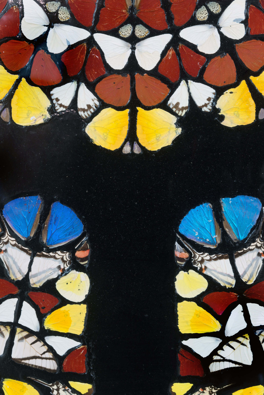 Damien Hirst, The Rose Window, Durham Cathedral, 2008