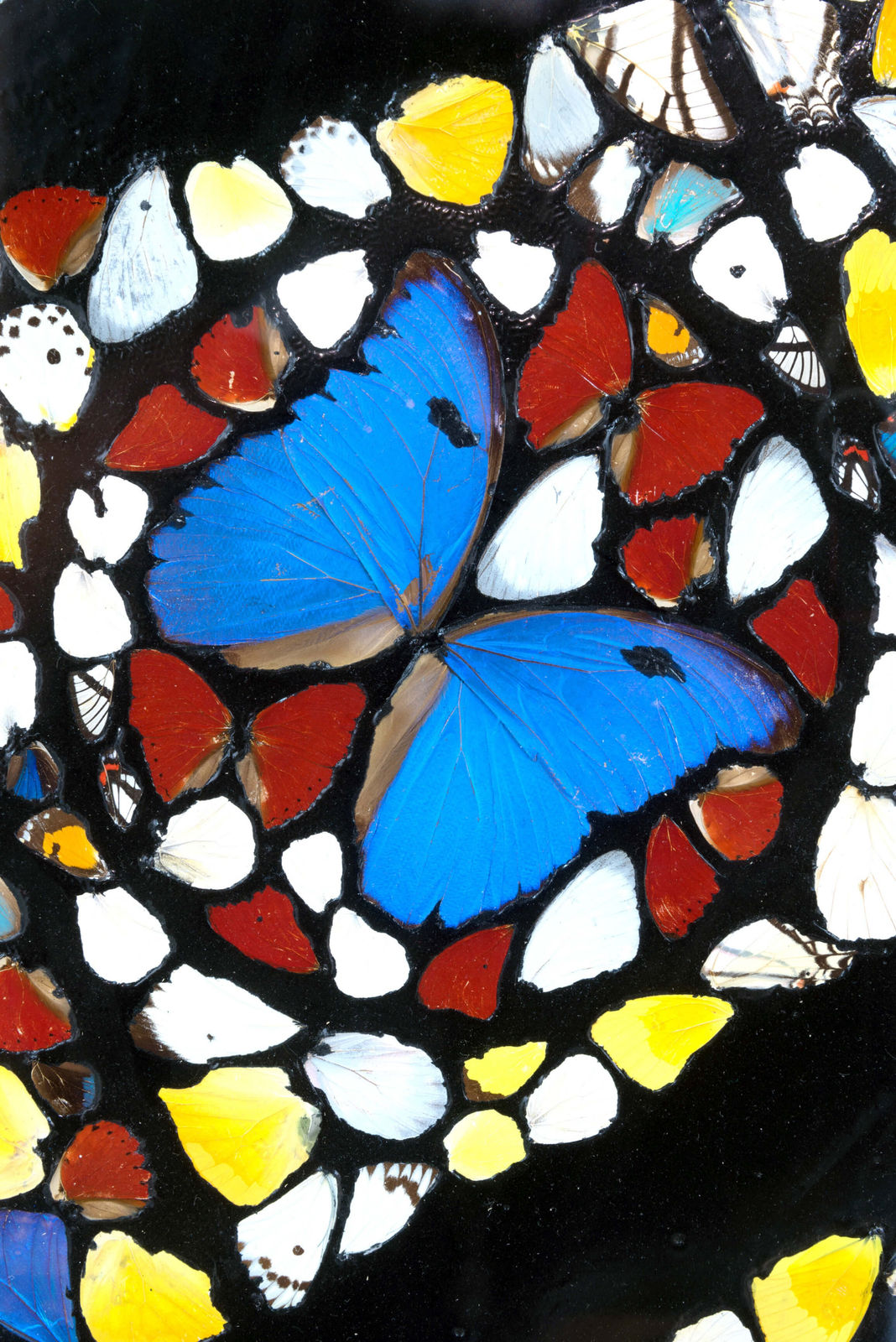 Damien Hirst, The Rose Window, Durham Cathedral, 2008