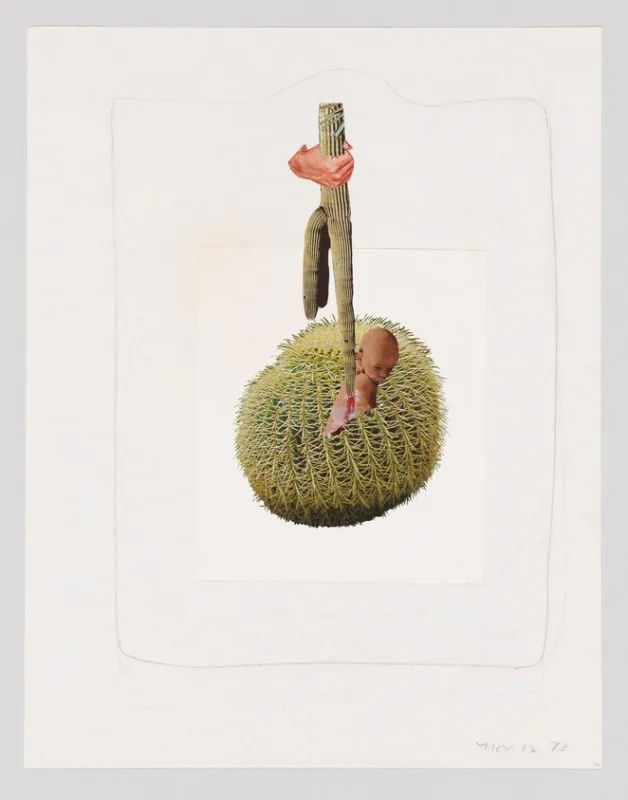 Joanne Leonard Untitled (Joanne, frog, and sperm) (1973) (courtesy Whitney Museum of American Art, New York; gift of Jeremy Stone)