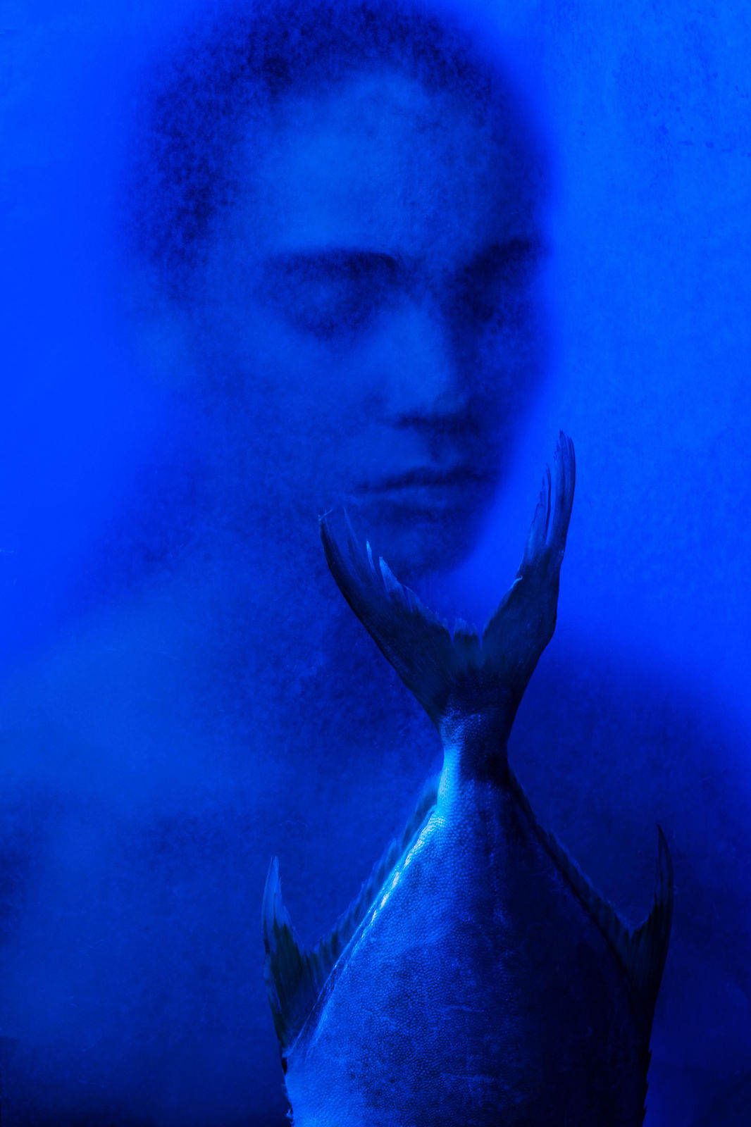 © Liana Grigoryan, Peace In Reunion