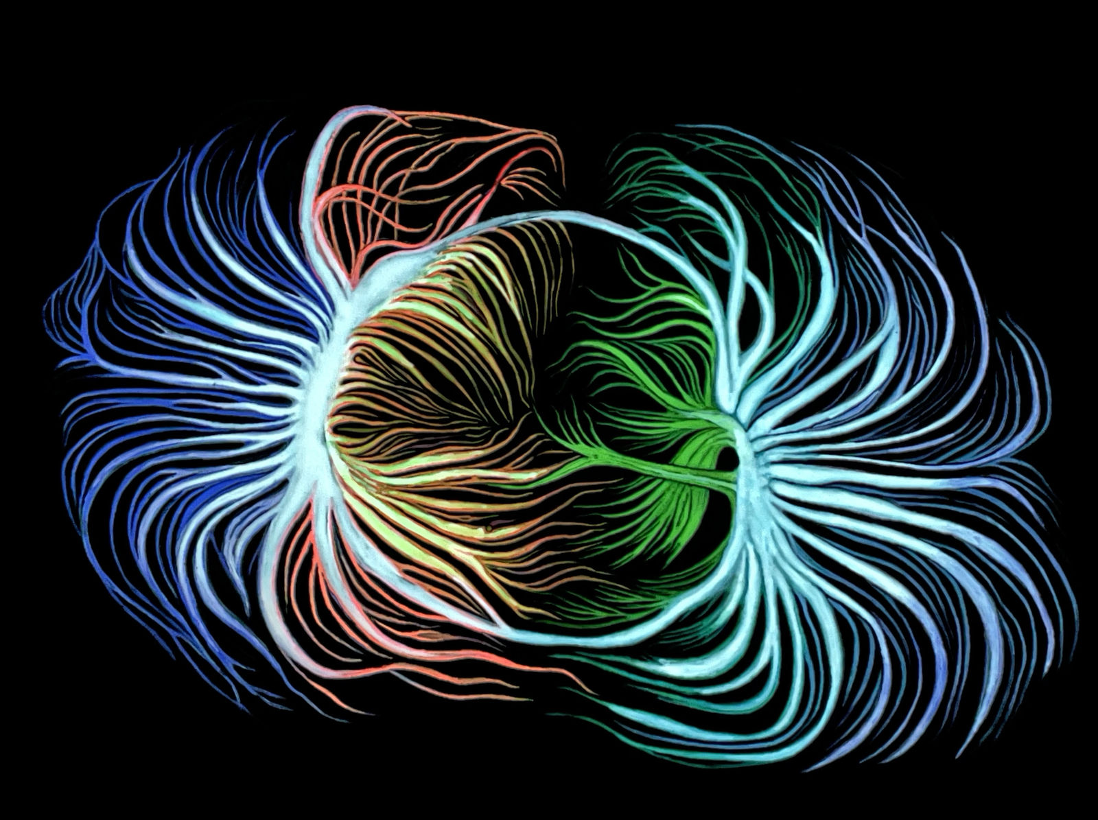 Galactic Superclusters Merger