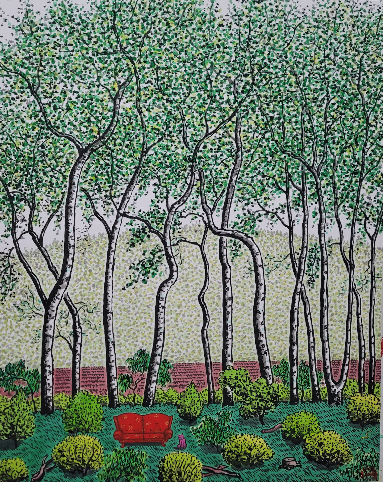 A Birch Forest
