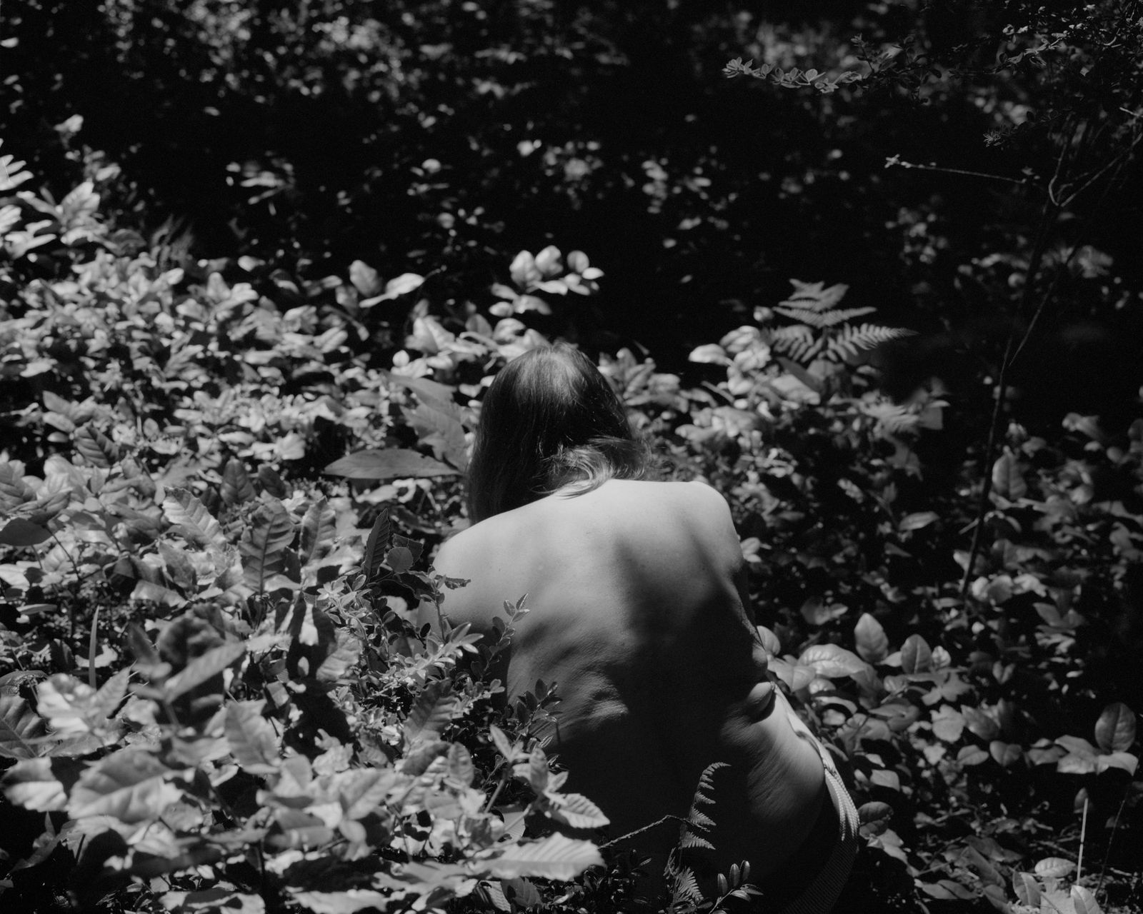 Rose Marie Cromwell, The Garden, 2024