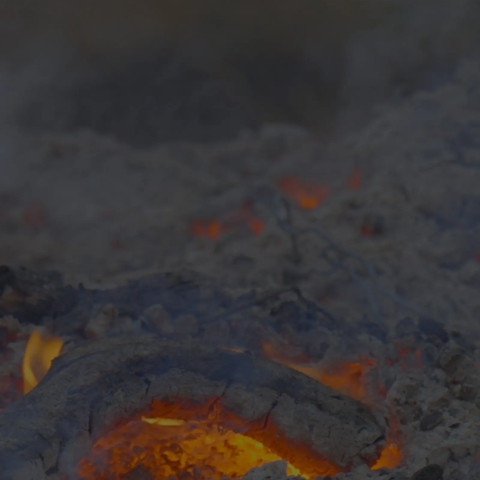 Burning, 2024, Video (color, sound), 7 min 4 sec Still from Video