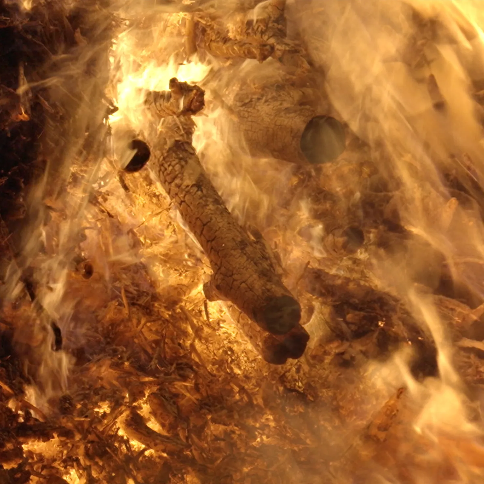 Burning, 2024, Video (color, sound), 7 min 4 sec Still from Video