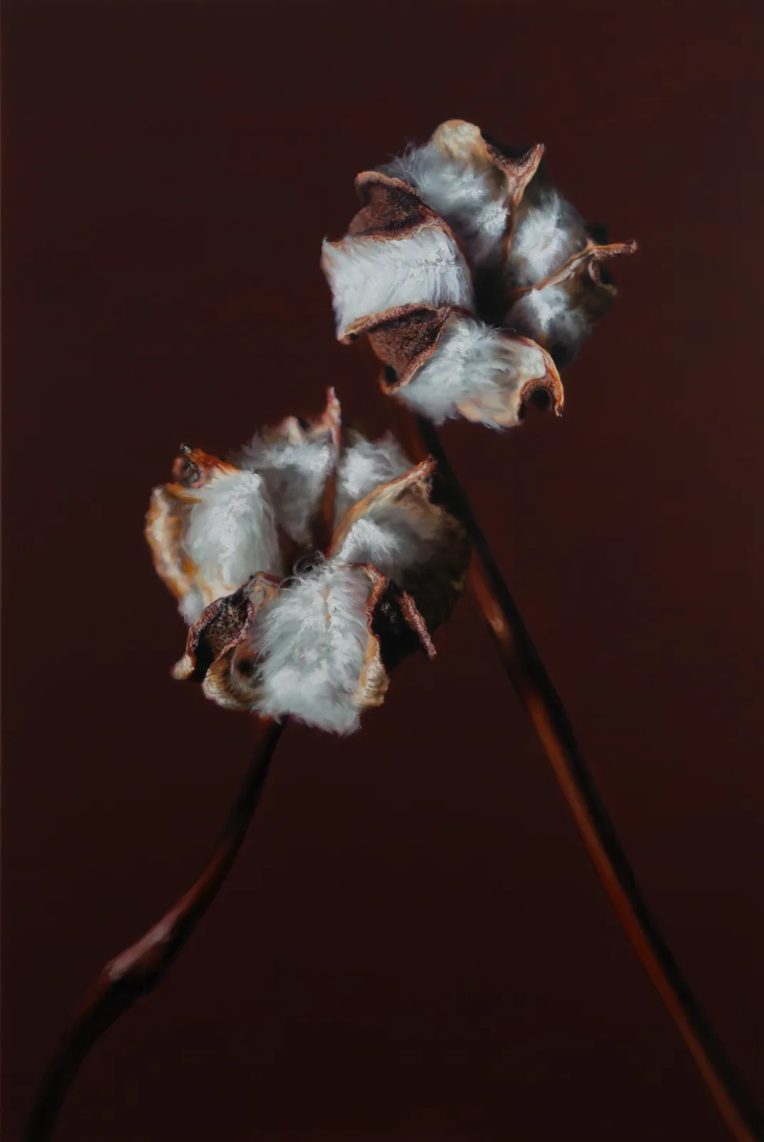 Kang Kang Hoon Cotton 2026 Oil on canvas 194 x 130 cm