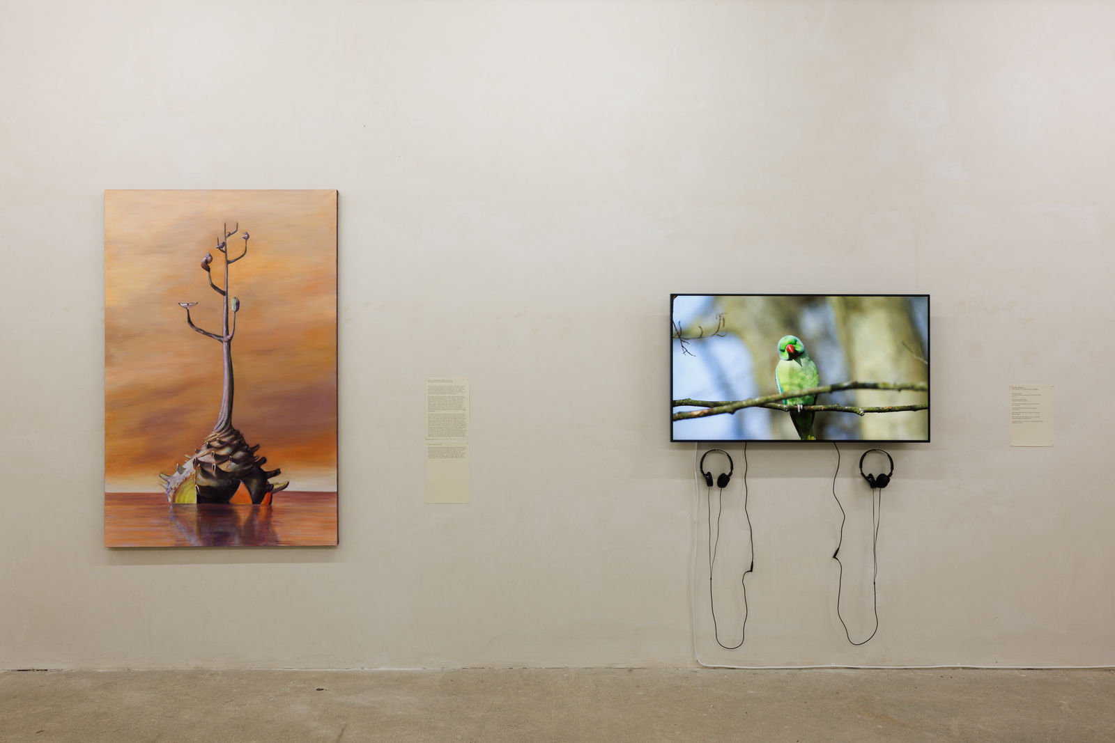 Installation view of Adham Faramawy.