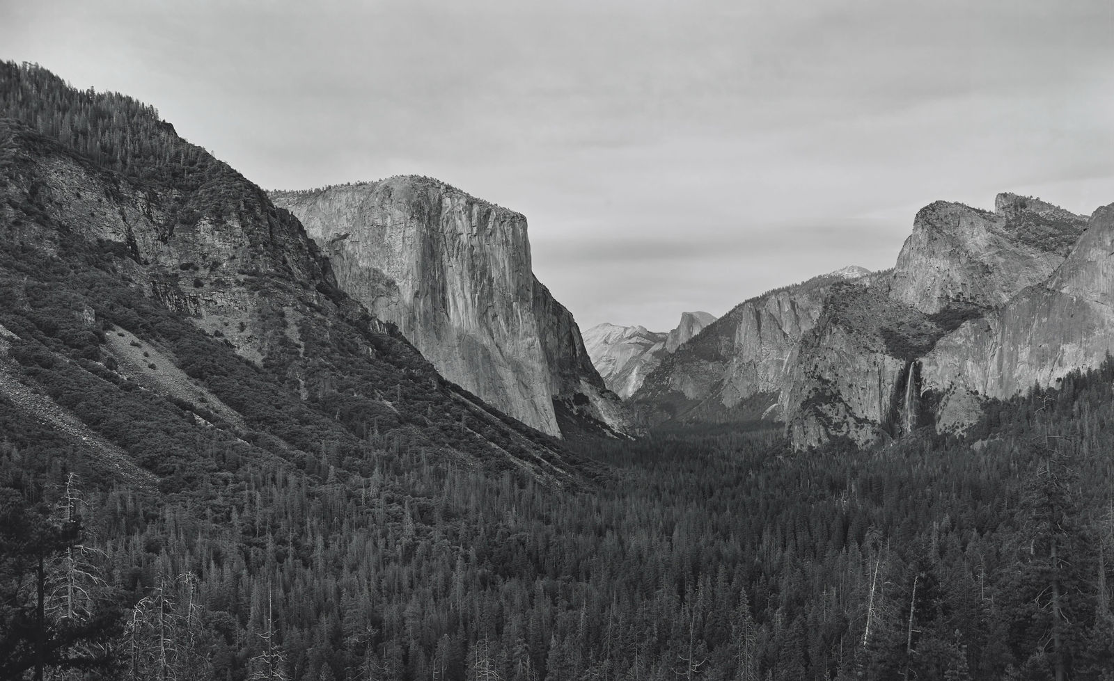 Richard Learoyd, Yosemite IV (BGV), 2018