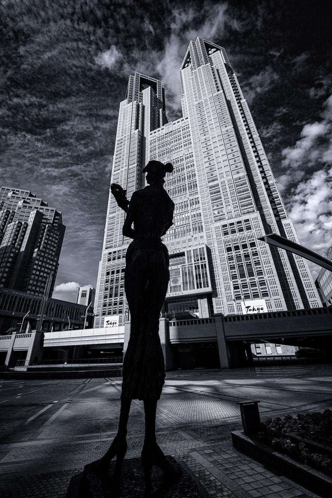 Tokyo Metropolitan Government Building 2