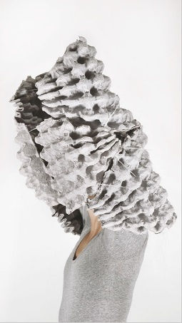 Ana Campanella, STUDIOS II, 2018