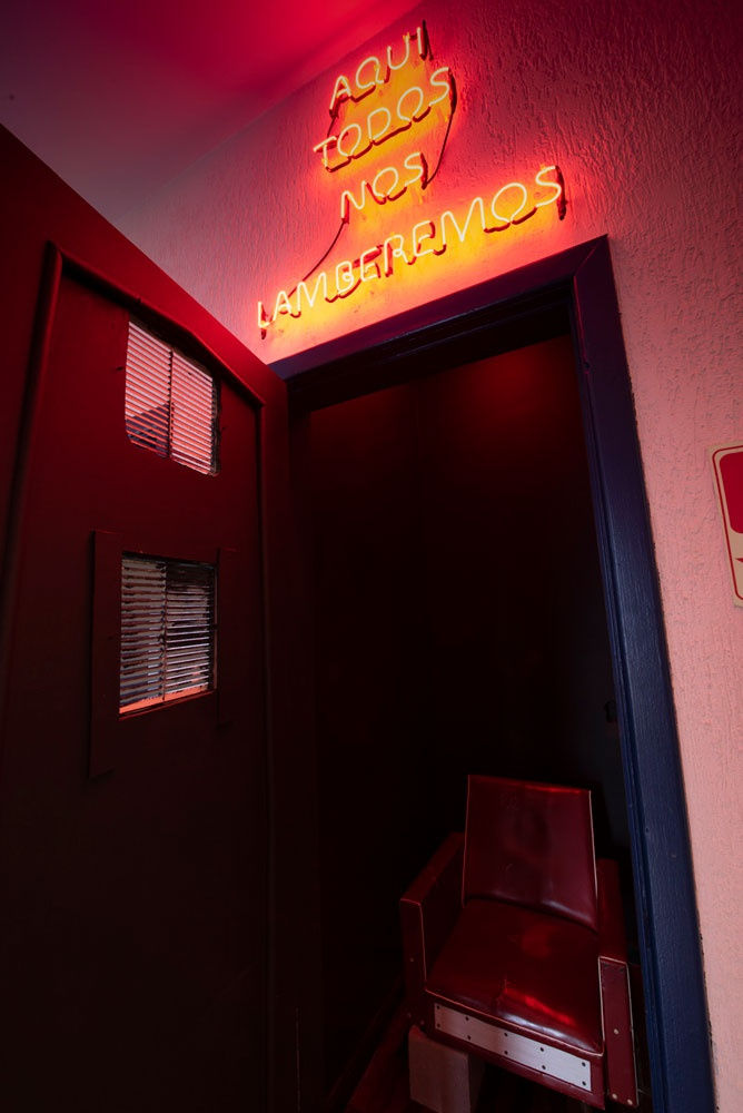 Analize Nicolini, Here We Will All Lick Ourselves, 2022