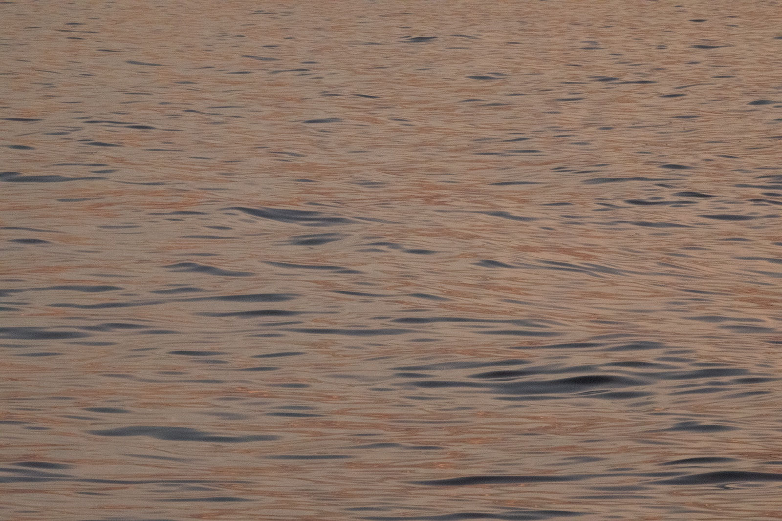 Analize Nicolini, 22°59’14.692” S 43°13’13.276” W 02/01 18:55:22, 2019