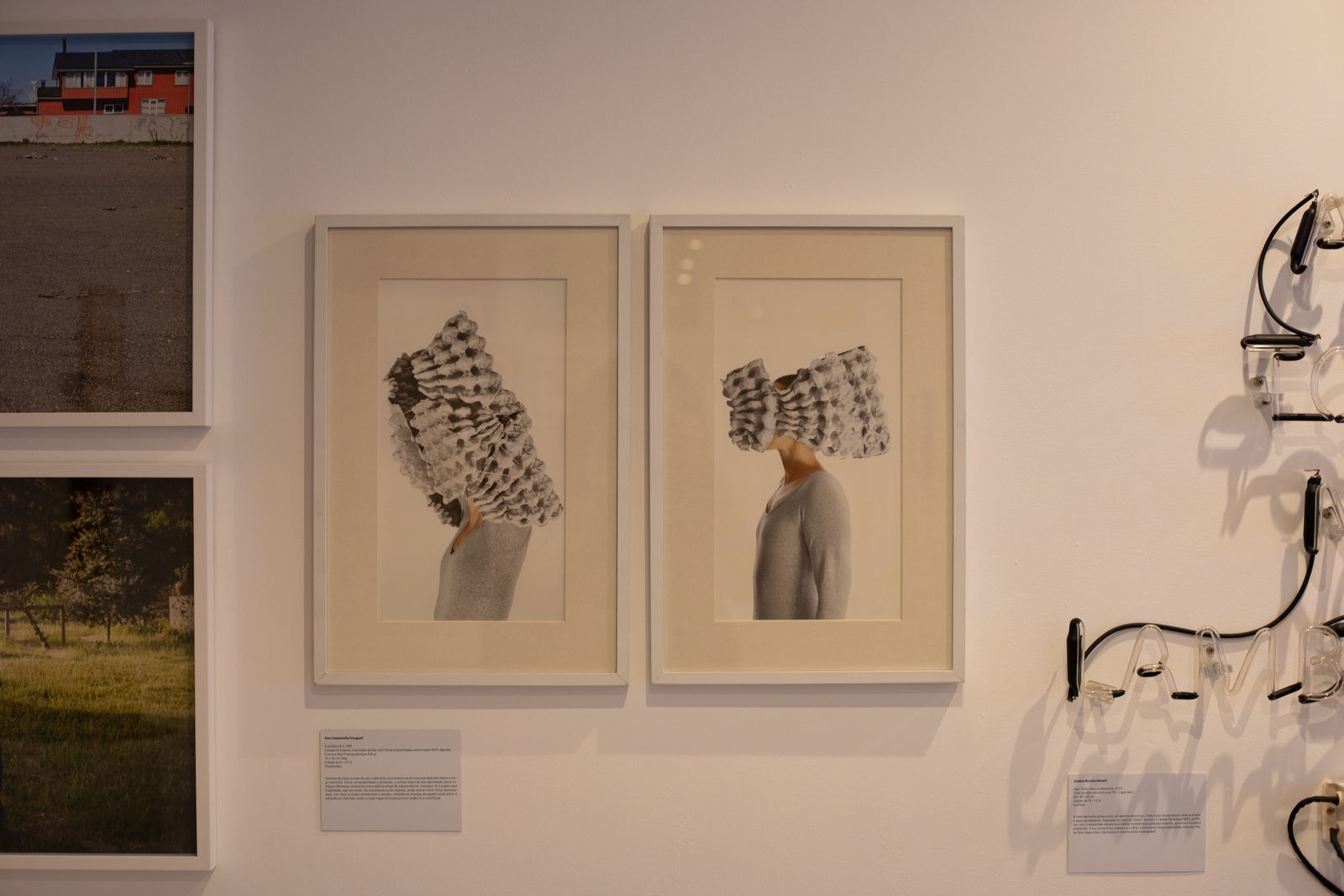 Ana Campanella, STUDIOS I, 2018