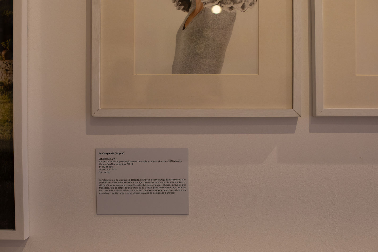 Ana Campanella, STUDIOS I, 2018