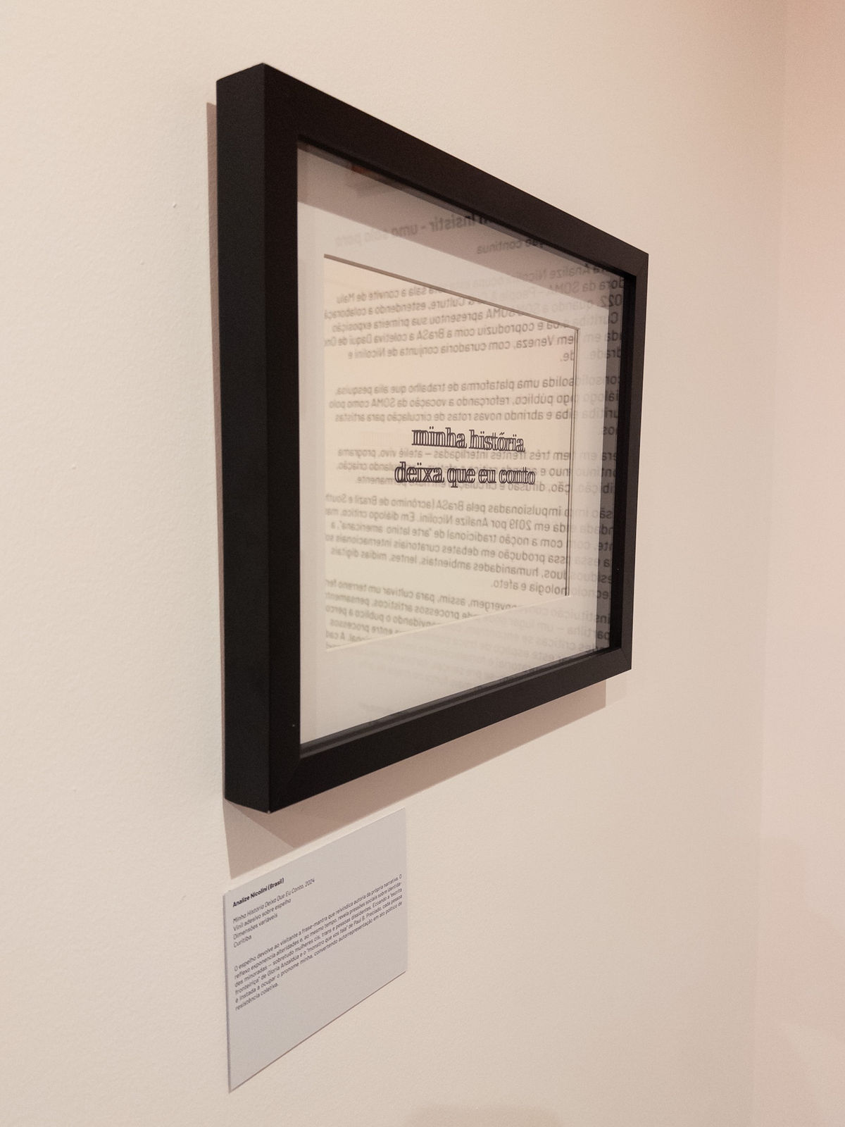 Analize Nicolini, Minha História Deixa Que Eu Conto (My story let me tell it), 2024