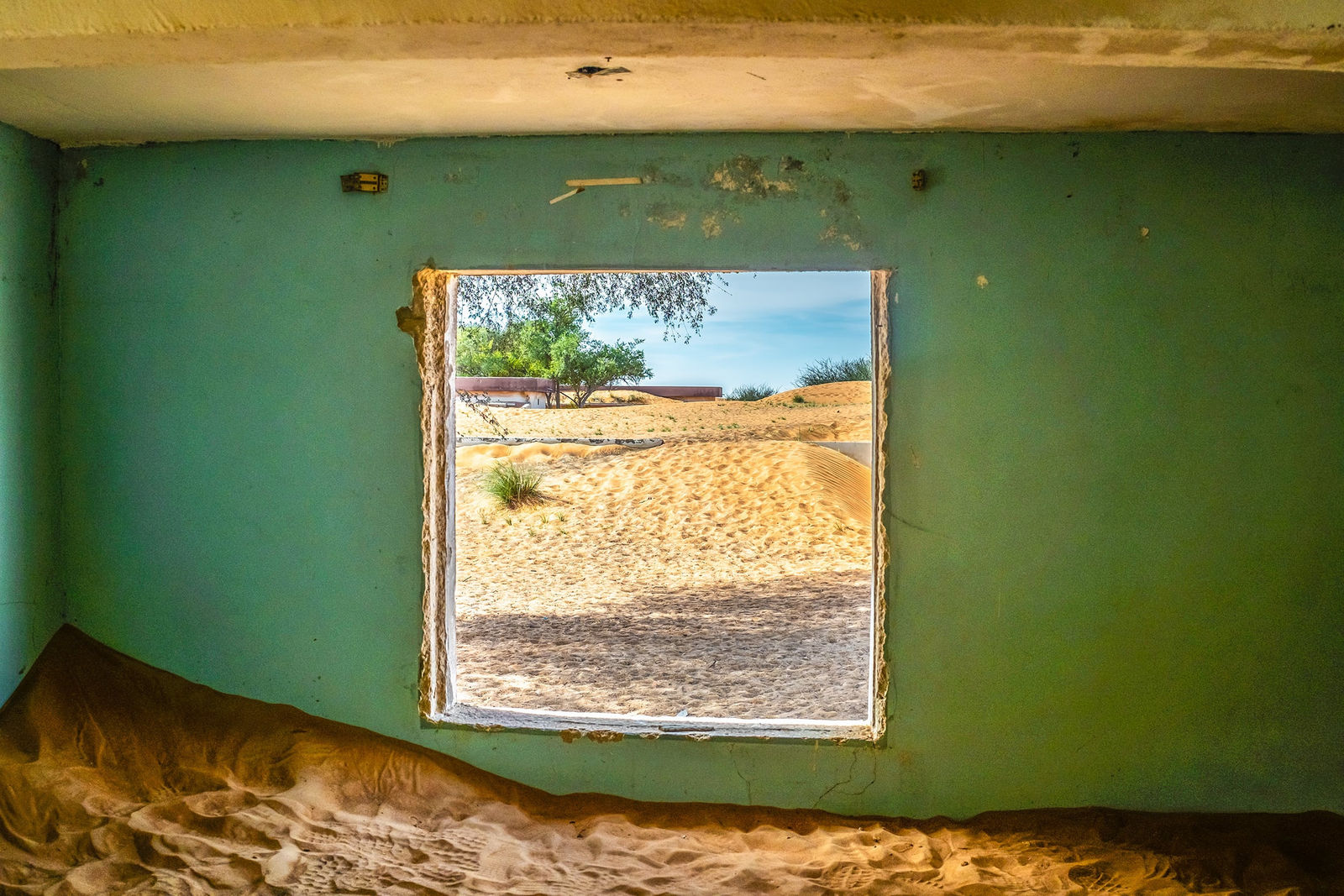 Steve Gallagher, Al Madam VIII, 2024