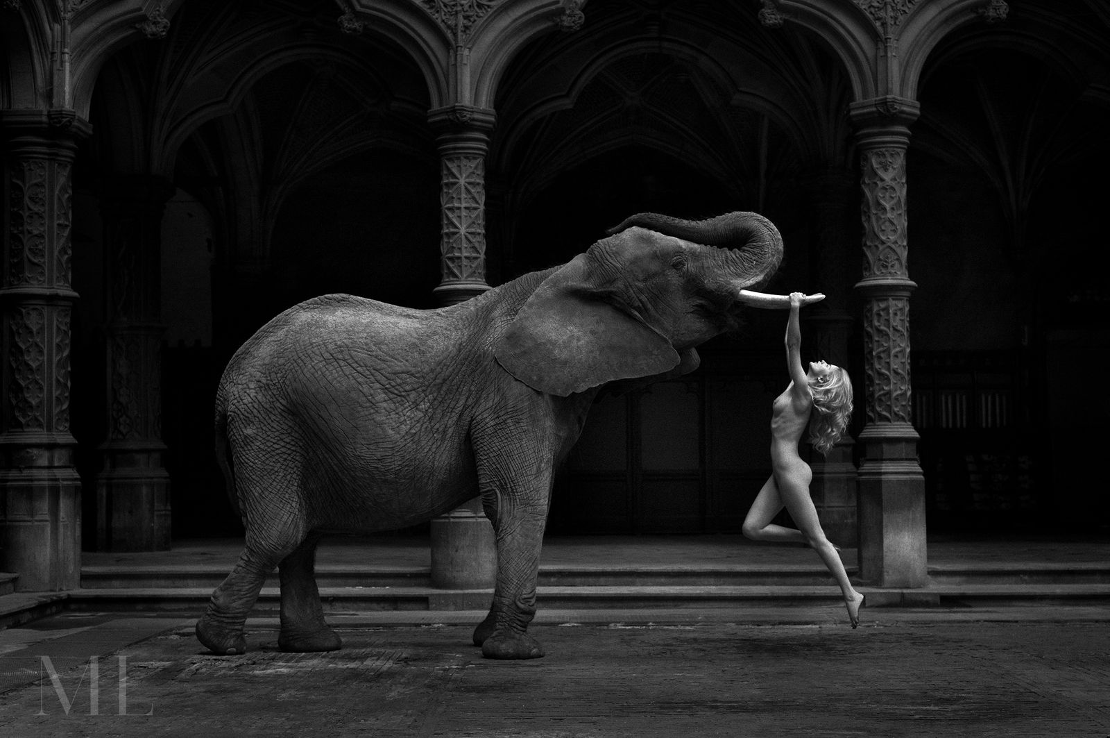 Marc Lagrange, Tusk