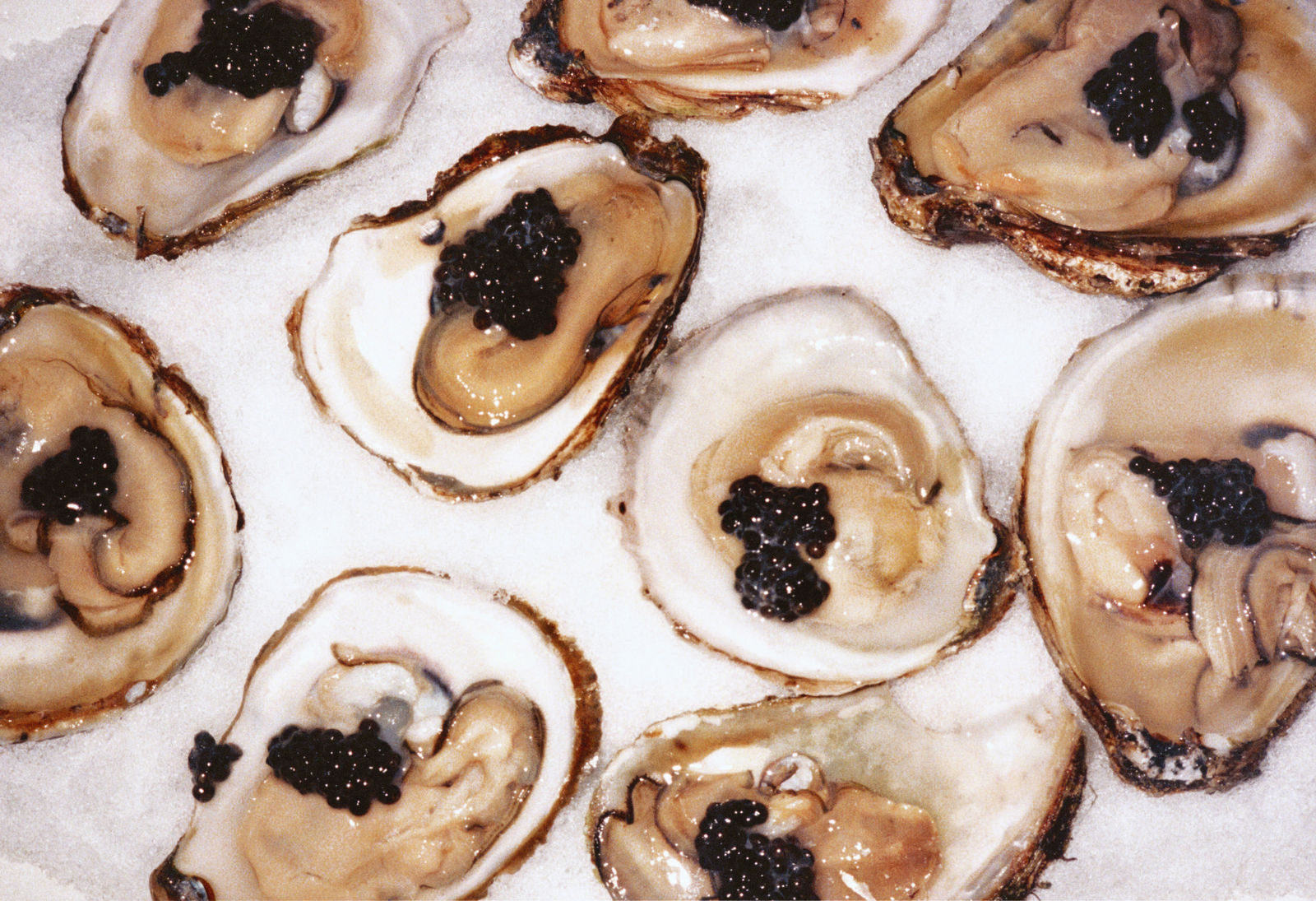 Jessica Craig-Martin, Imported Snow (New Year's Eve), St. Barths, 1999