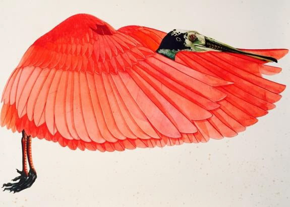 Scott Kelley Roseate Spoonbill, 2016 Watercolor and gouache on paper 30 x 40 inches Titled, dated, signed (l.c.) For sale at Surovek