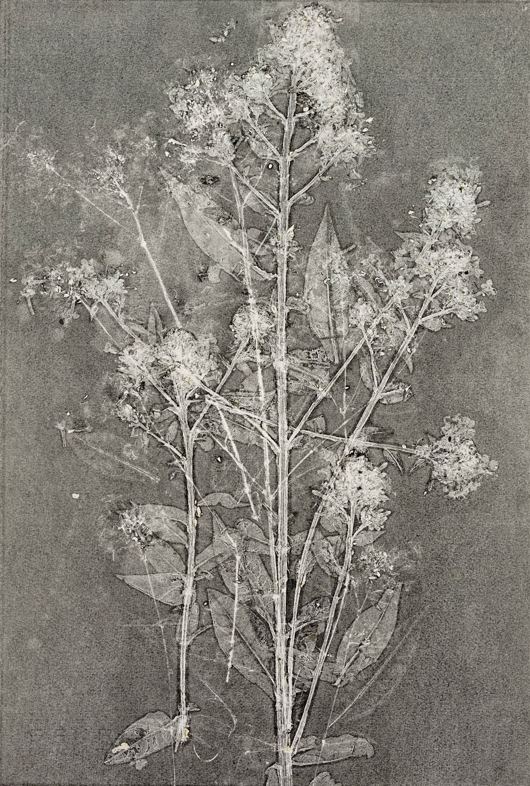 JEFFREY KATZ, #90, 2024