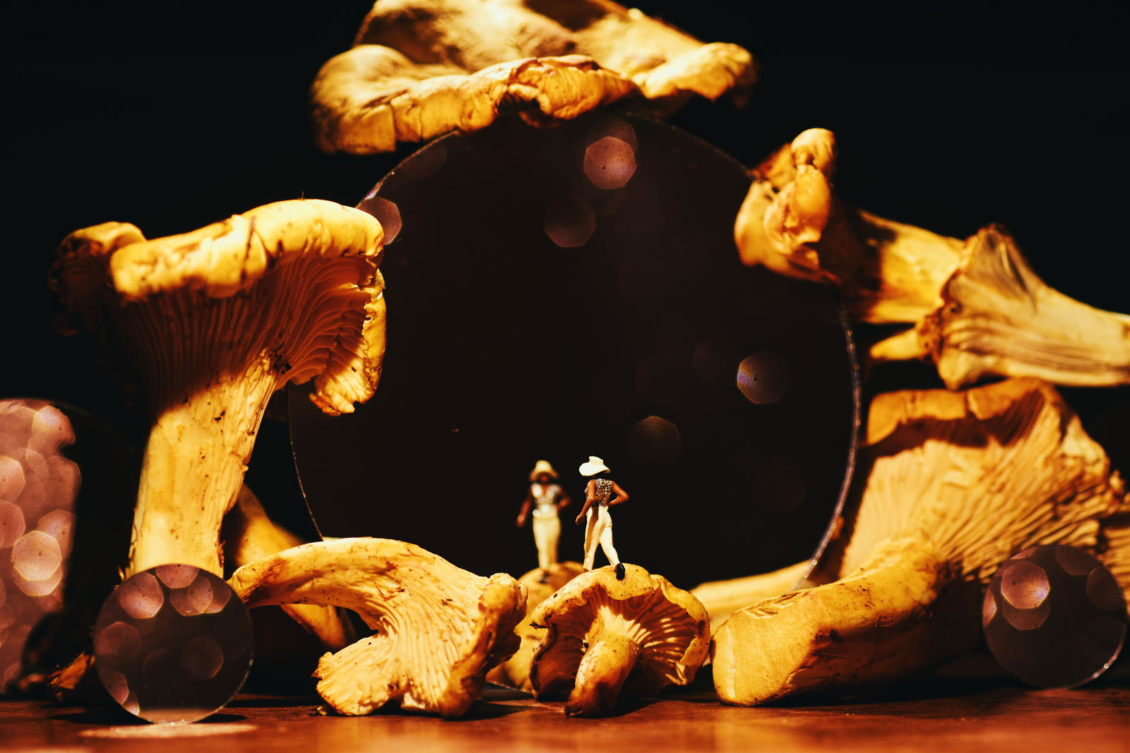 AA - LOCALS NO. 2 , TARA GORMAN - CHANTERELLE, 2025