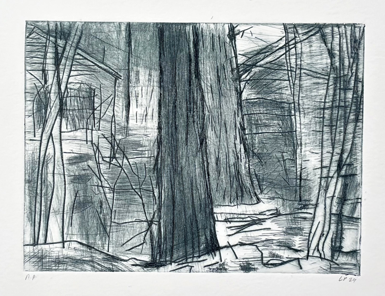 lynn peterfreund, no. 1