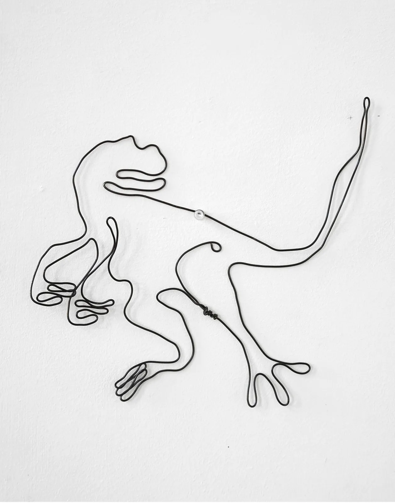 dale anderson, no. 21