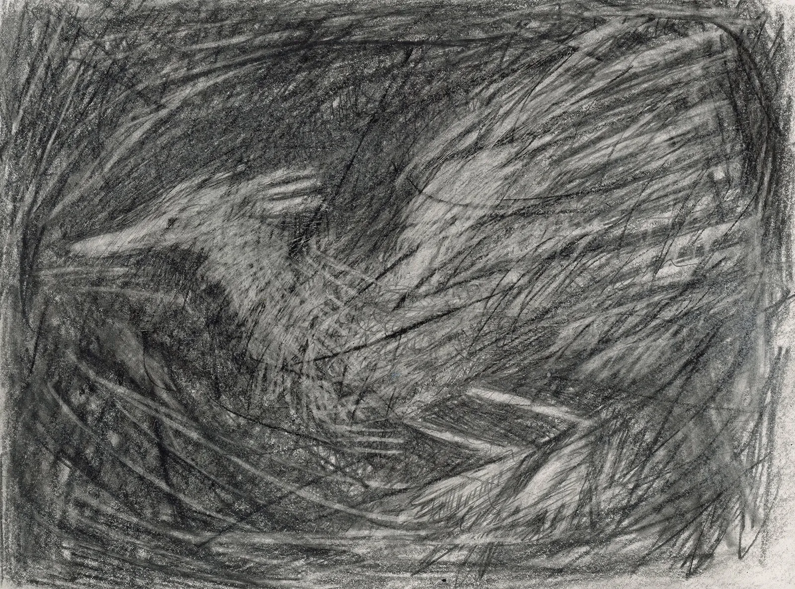 ANNA DENNIS DIBBLE , no. 19