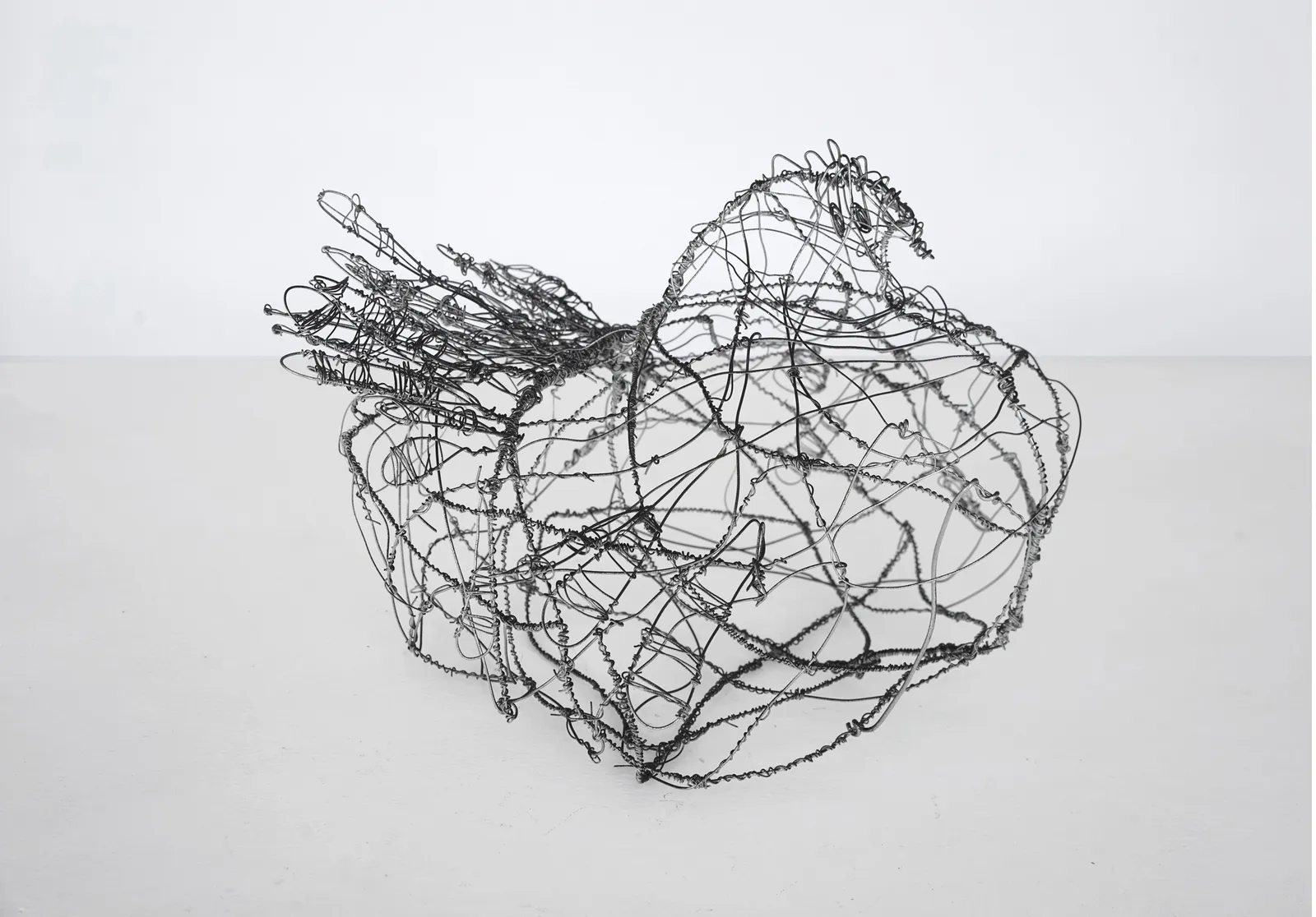 dale anderson, no. 5