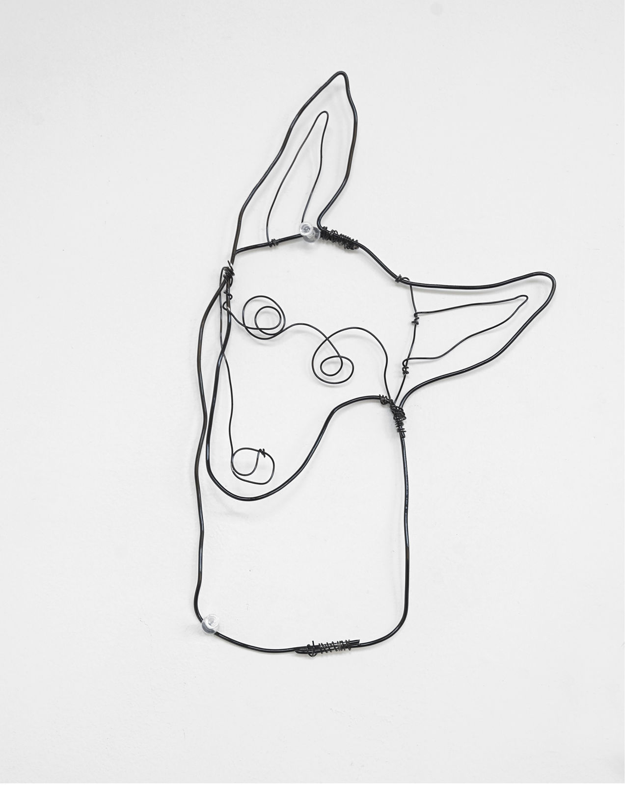 dale anderson, no. 19